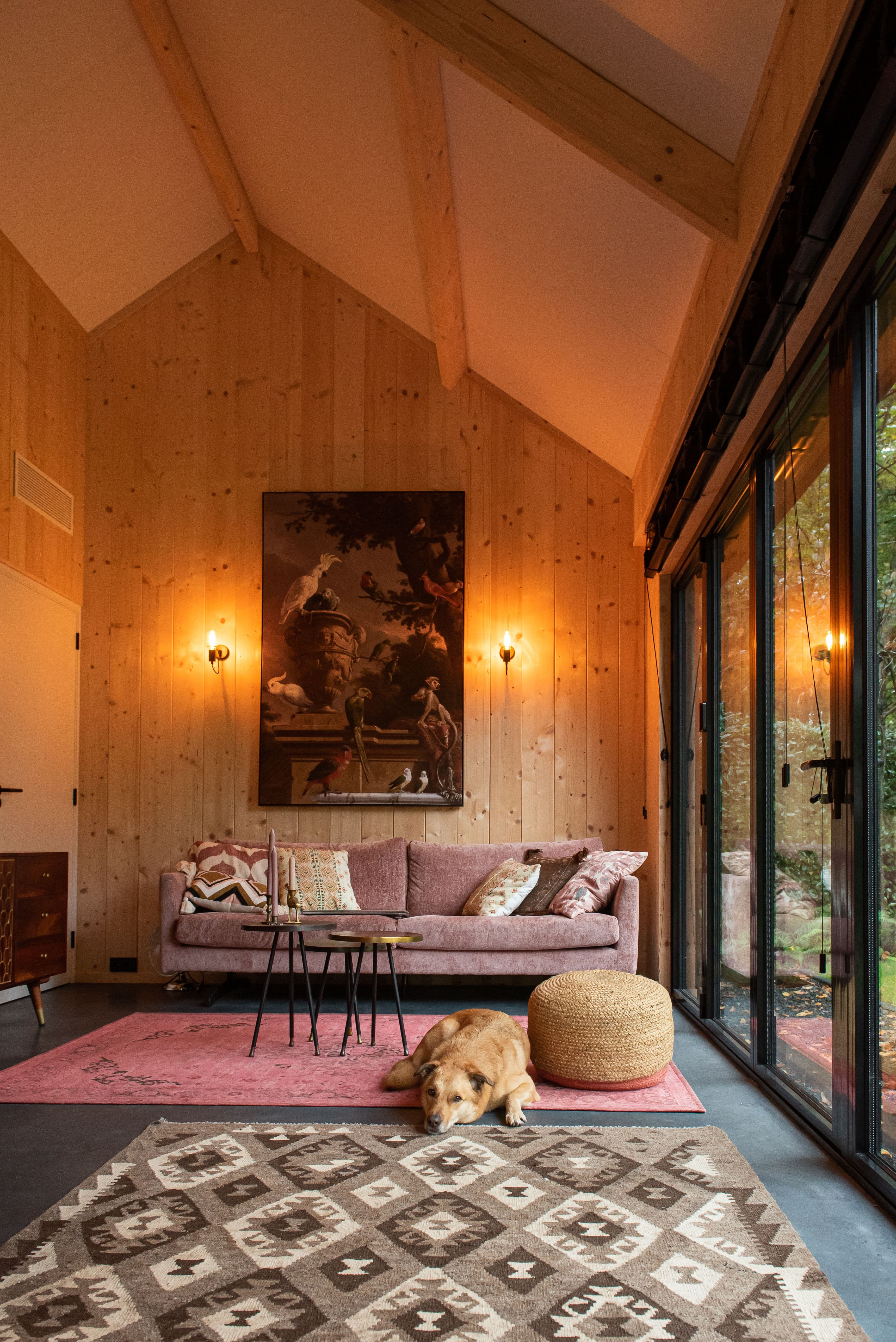 Woonkamer met houten wanden, roze bank, rode vloerkleed en een bruine hond die op de vloer ligt bij het raam
