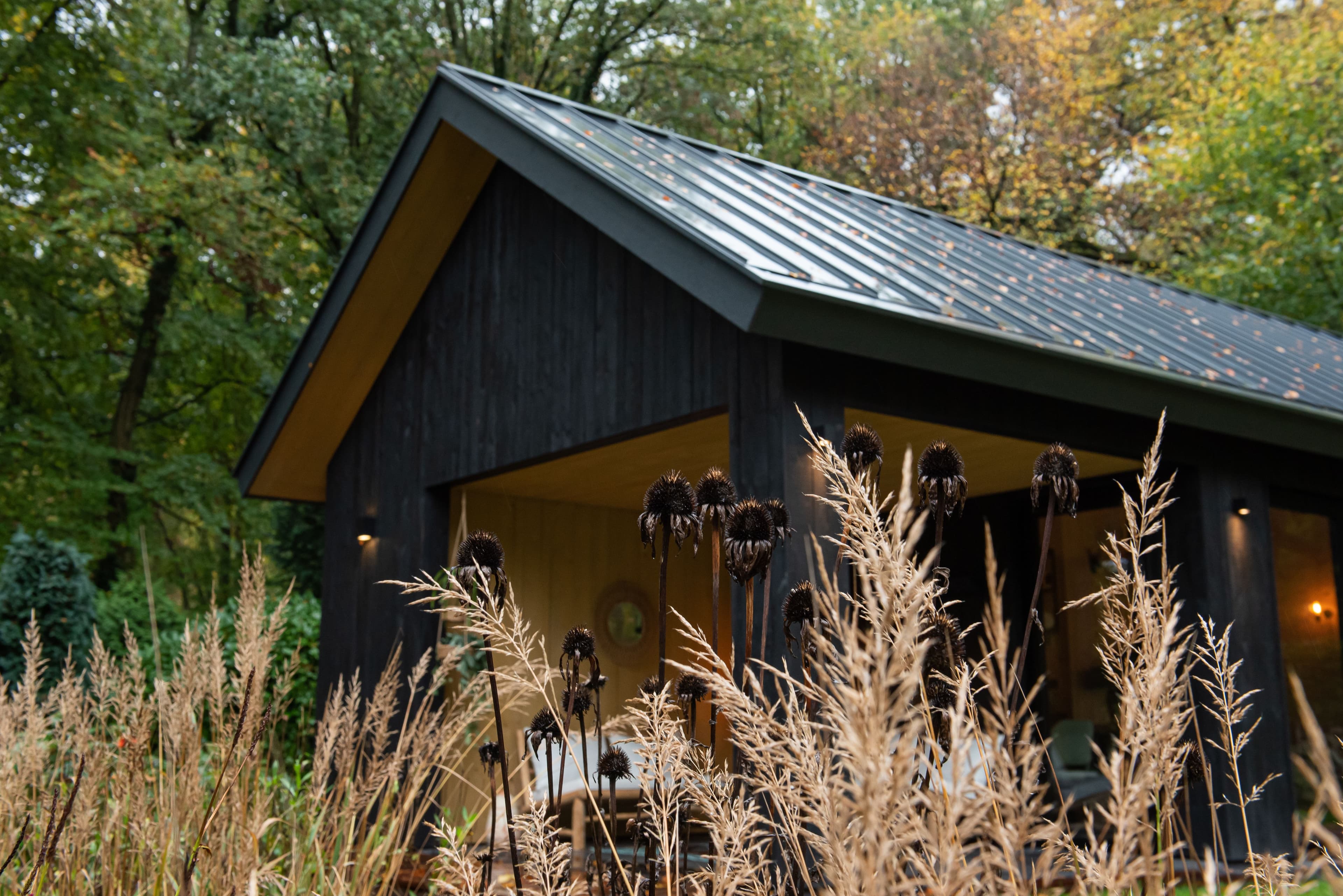 Kleine zwart houten woning met metalen dak en herfstachtige wilde planten op de voorgrond