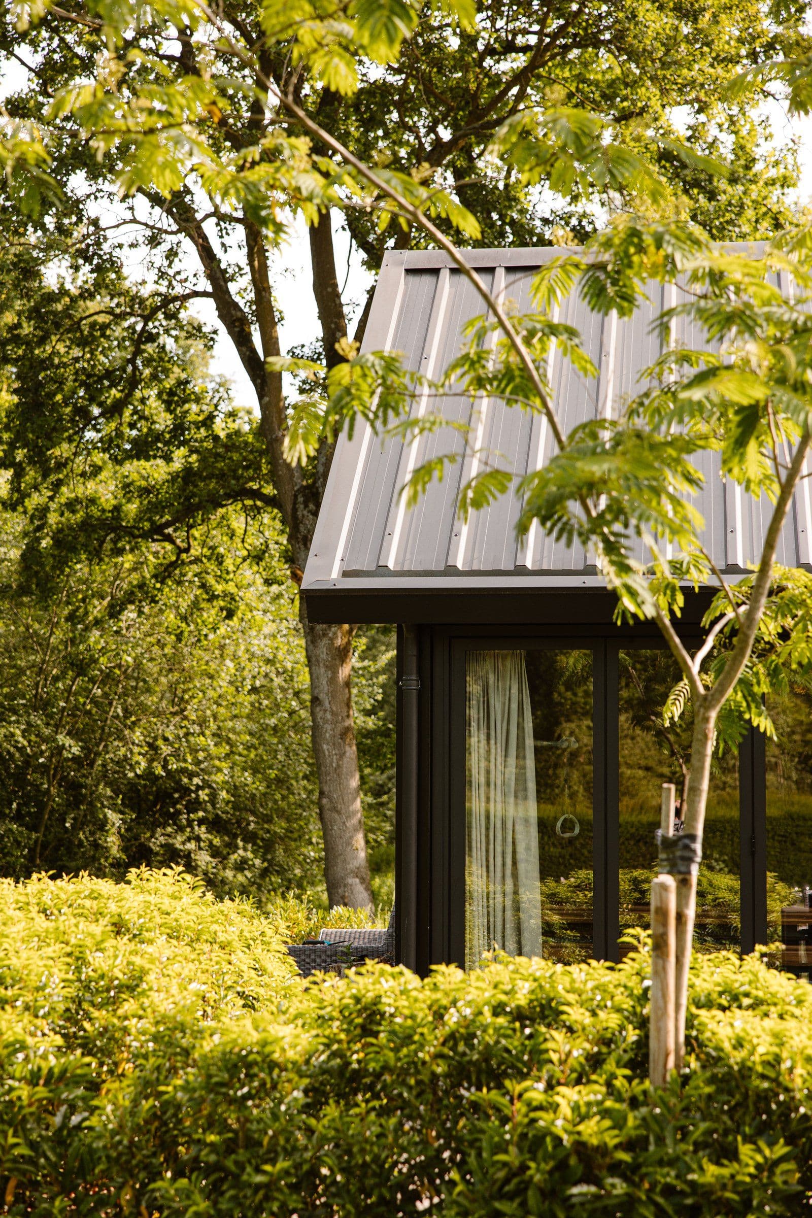 Modern huis met metalen schuin dak en grote glasdeur, omgeven door groene planten en bomen