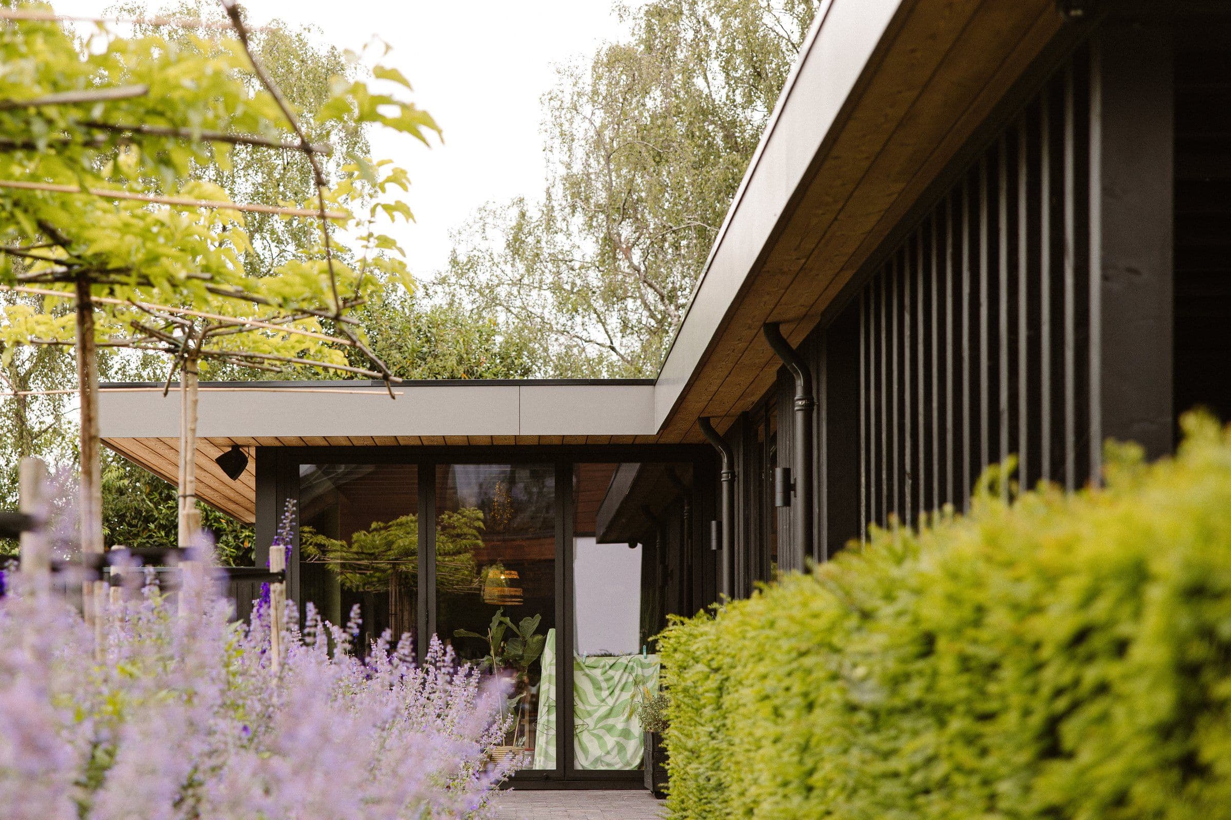 Vooraanzicht van een moderne woning met grote glazen deuren, paars bloeiende lavendel en groene hagen in de tuin