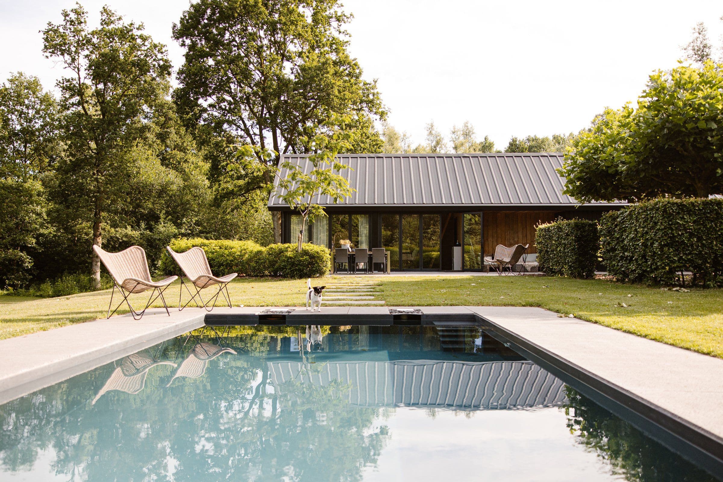 Moderne woning met glazen pui, zwembad en twee rieten kuipstoelen in de tuin met kleine hond op de rand van het zwembad