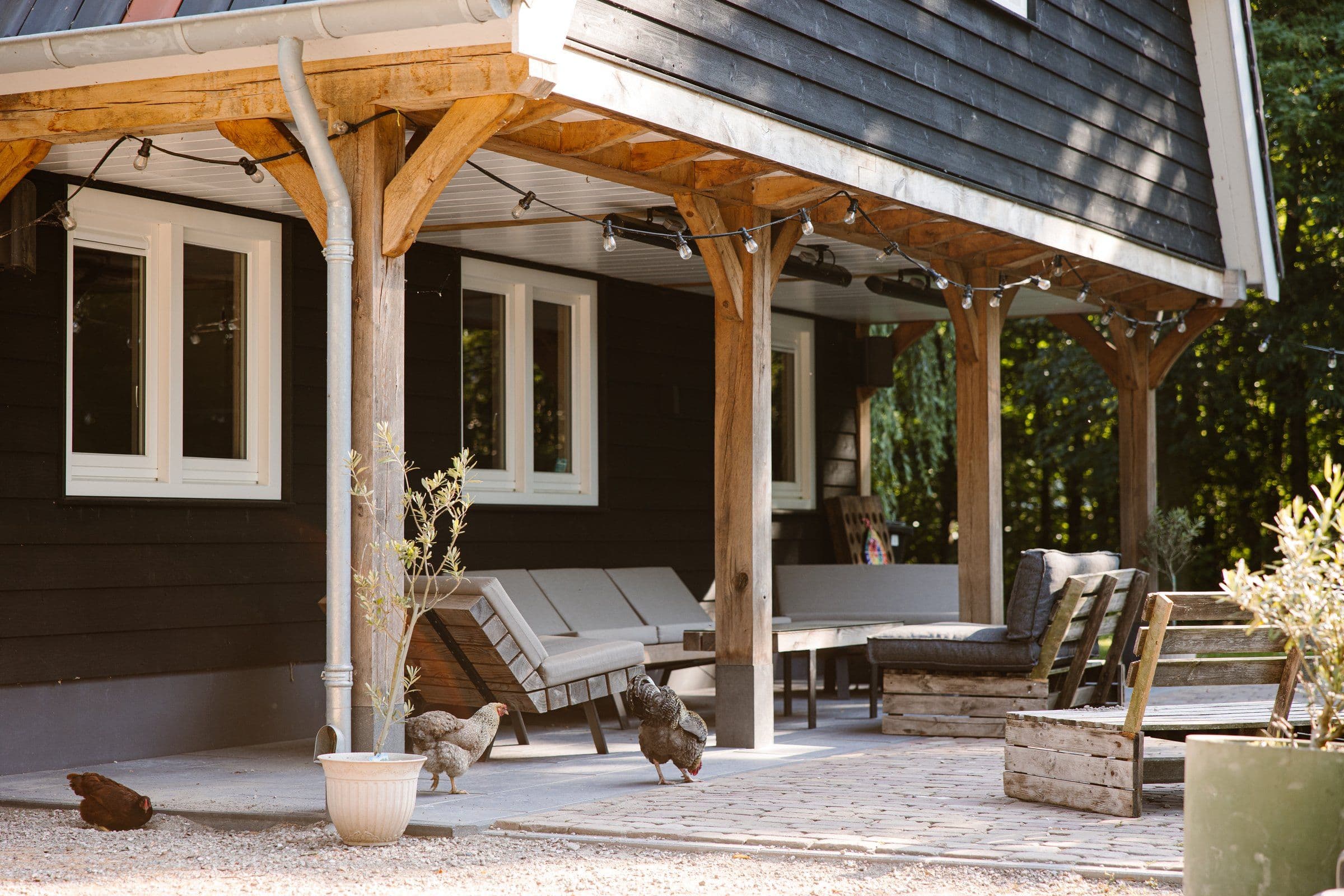 Houten veranda met banken en stoelen, potplanten en drie kippen op de grond voor een donker houten huis.